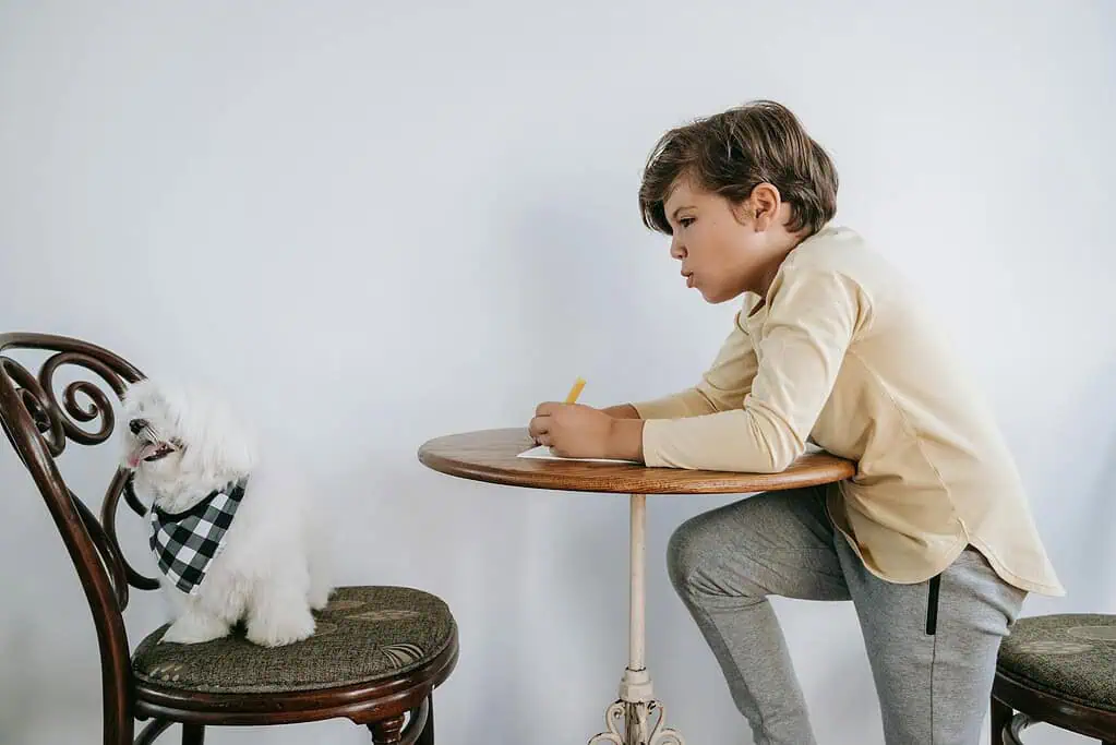 Young boy concentrating on writing at a small table beside a white fluffy dog, illustrating focused activity and emotional support for kids with ADHD.