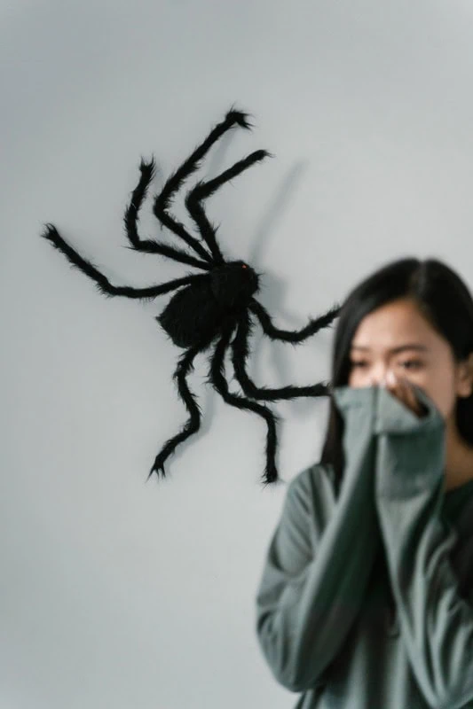 A frightened woman covers her mouth while standing near a large fake spider on a wall.