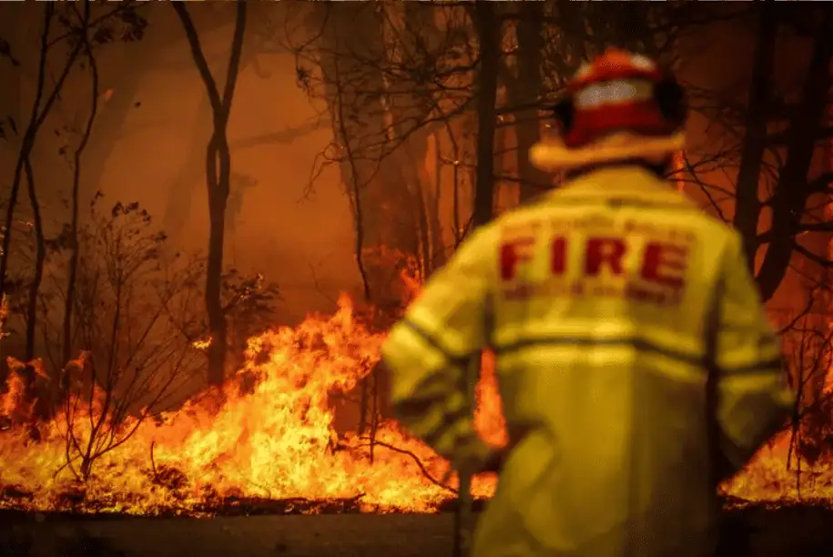 Firefighter in a yellow uniform and helmet facing a massive wildfire in a dense forest.