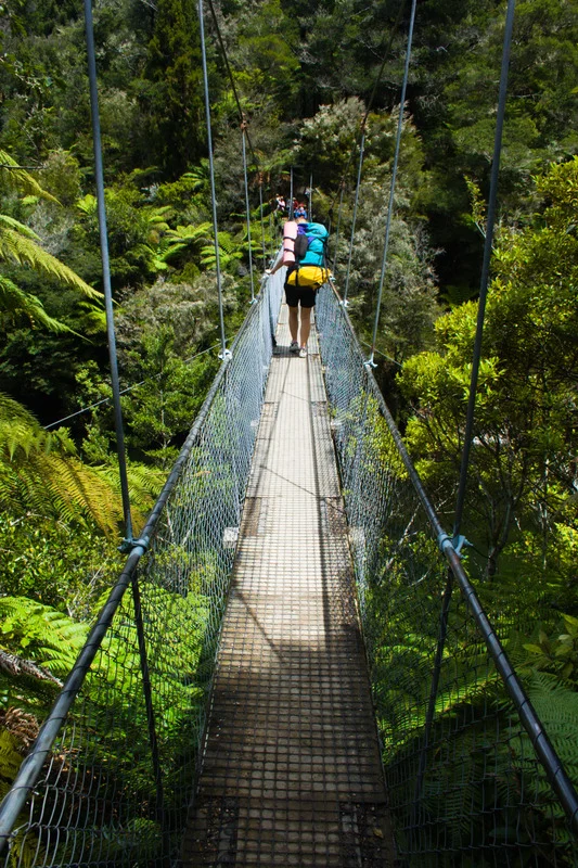 A group of hikers crossing a narrow suspension bridge surrounded by dense forest.