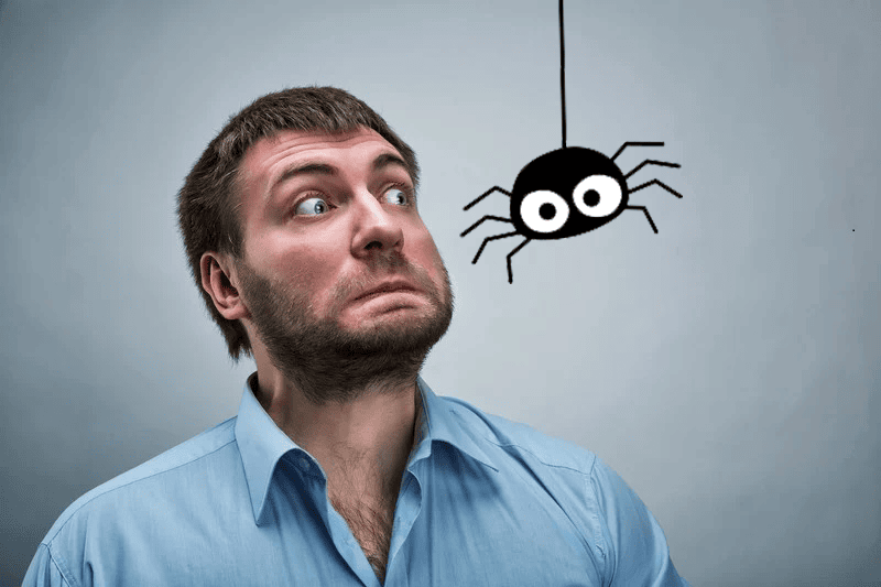 A startled man in a blue shirt stares wide-eyed at a cartoon spider hanging in front of him, expressing fear or surprise in a humorous depiction of arachnophobia.