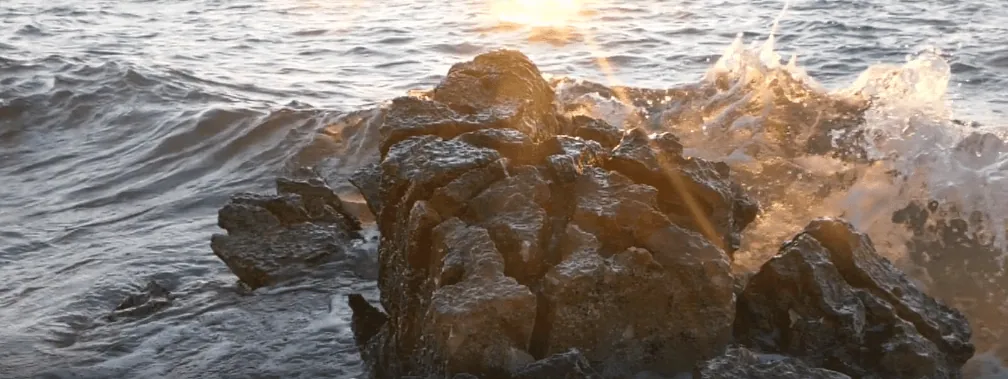 ocean with a rock
