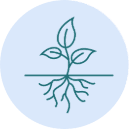 personal-growth-rooted-development-icon